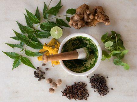 5 herbs to boost a healthy digestive system